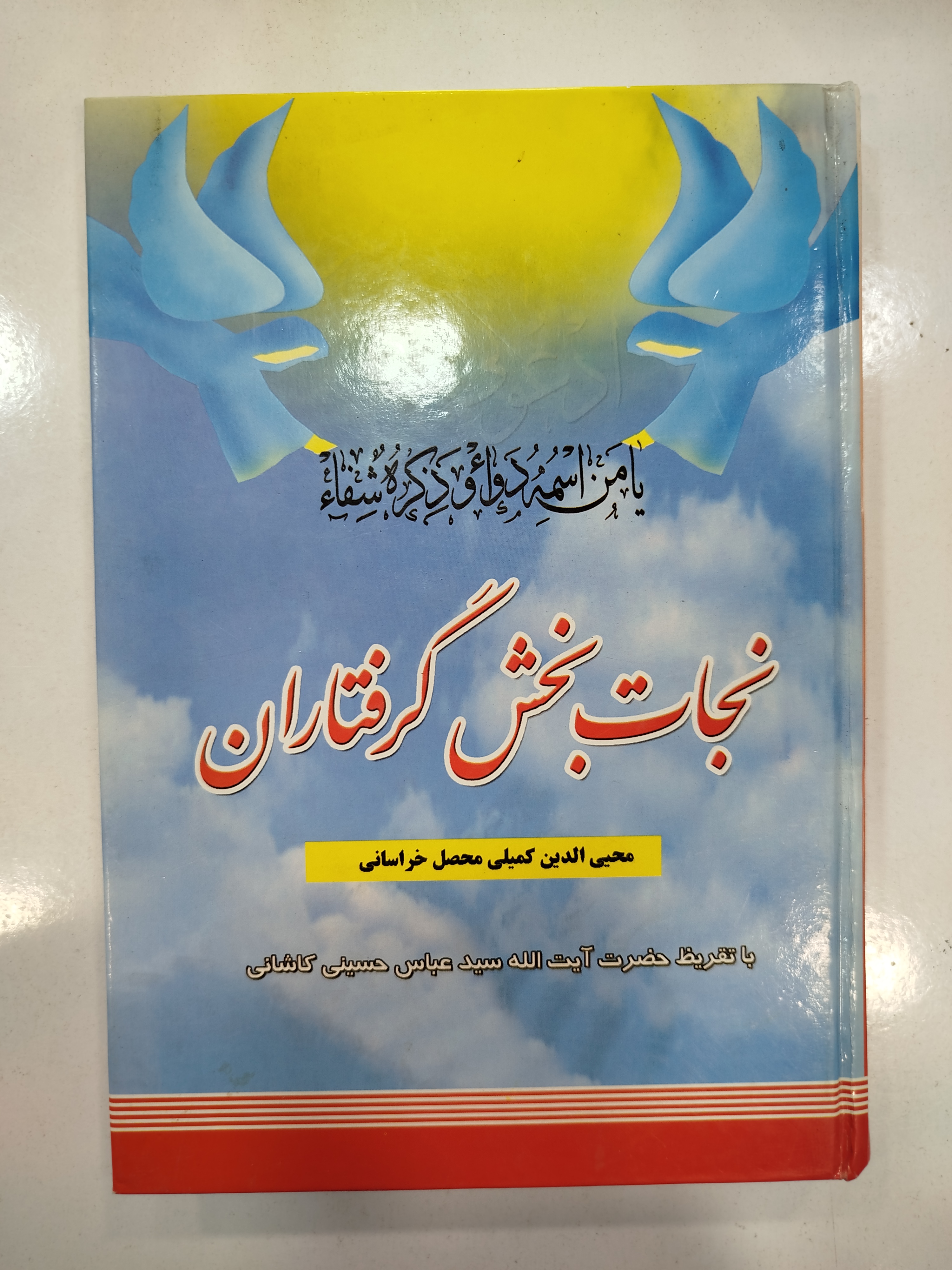 نجات بخش گرفتاران انتشارات نیلوفرانه (کار کرده)