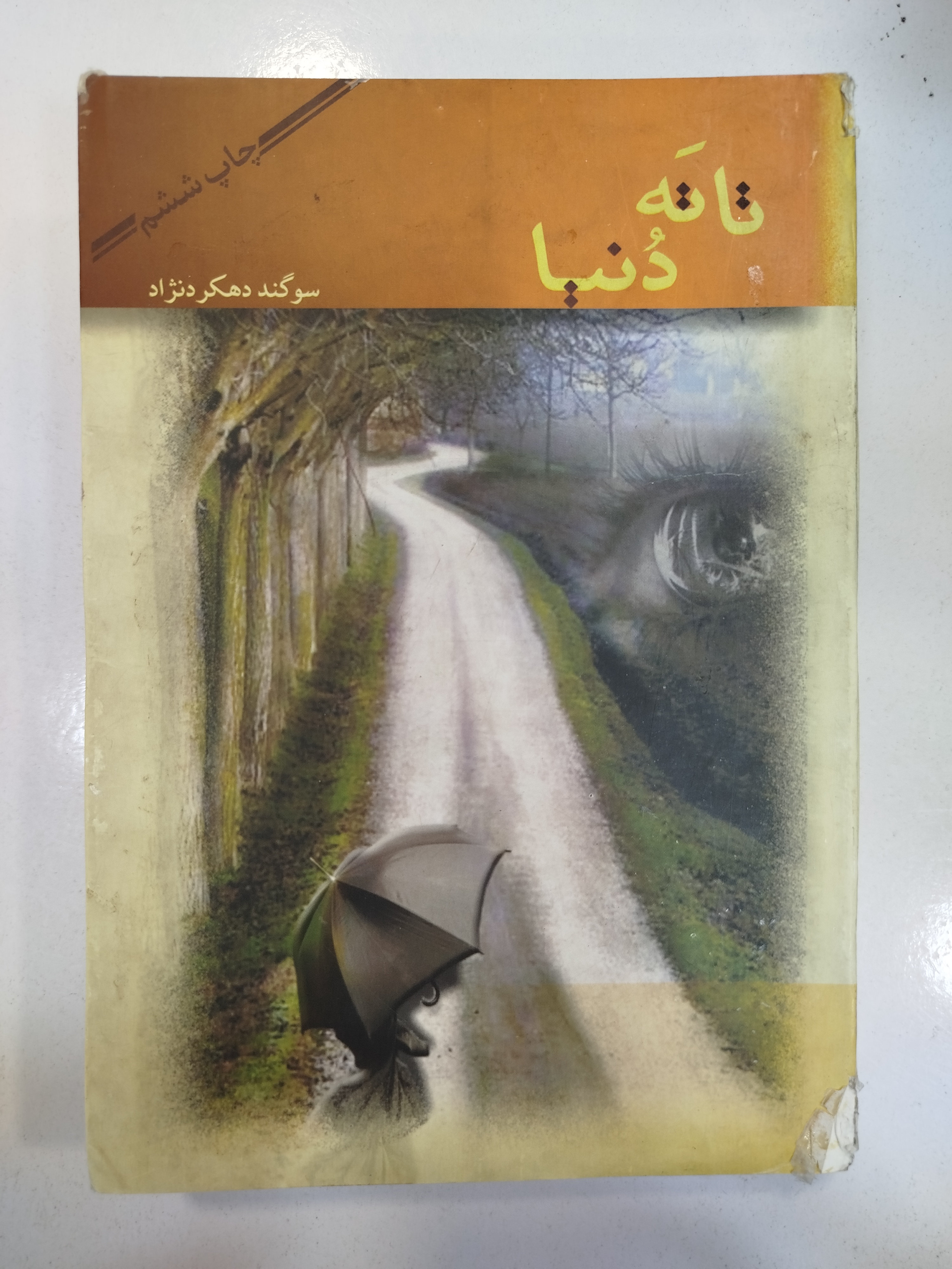 تا ته دنیا انتشارات پاسارگاد (کار کرده)
